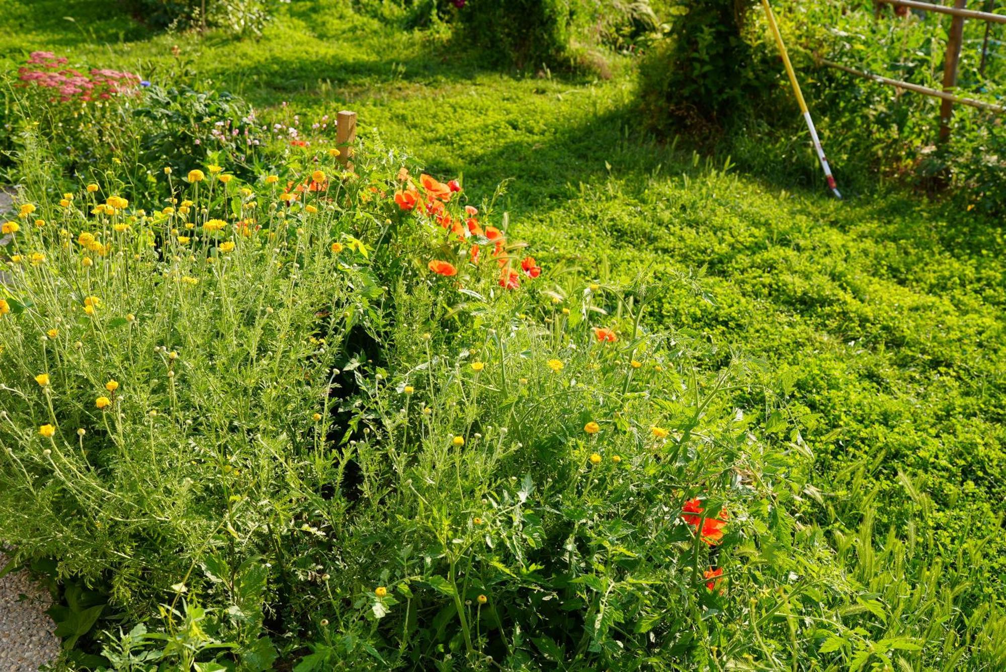 Villa Les Jardins De Felicie à Poses Extérieur photo